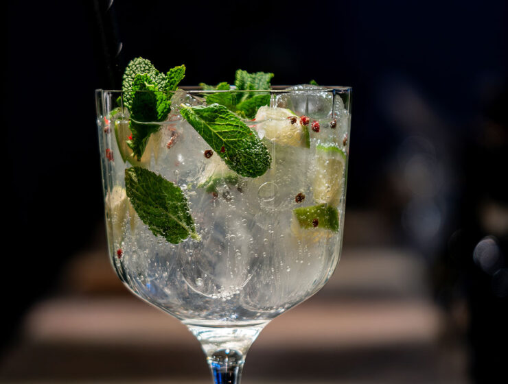 Gin tonic di Natale Xmas