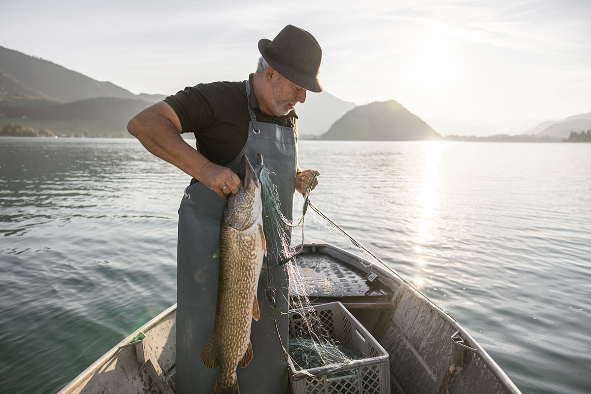 Fischer mit frisch gefangenem Fisch auf dem Wolfgangsee