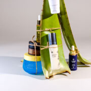 Aloe Vera versorgt feuchtigkeitsarme und gestresste Haut mit leichter Pflege.