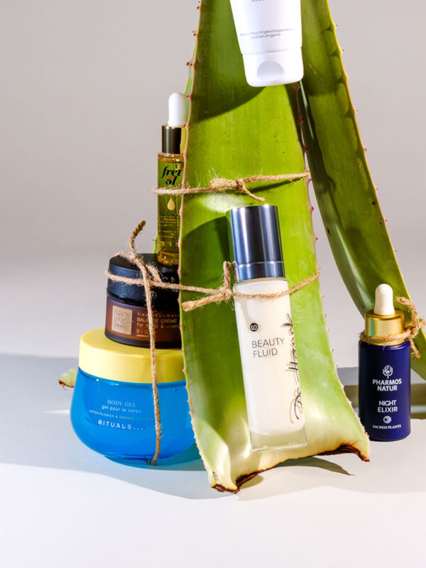 Aloe Vera versorgt feuchtigkeitsarme und gestresste Haut mit leichter Pflege.