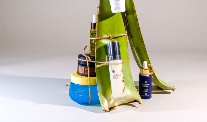 Aloe Vera versorgt feuchtigkeitsarme und gestresste Haut mit leichter Pflege.