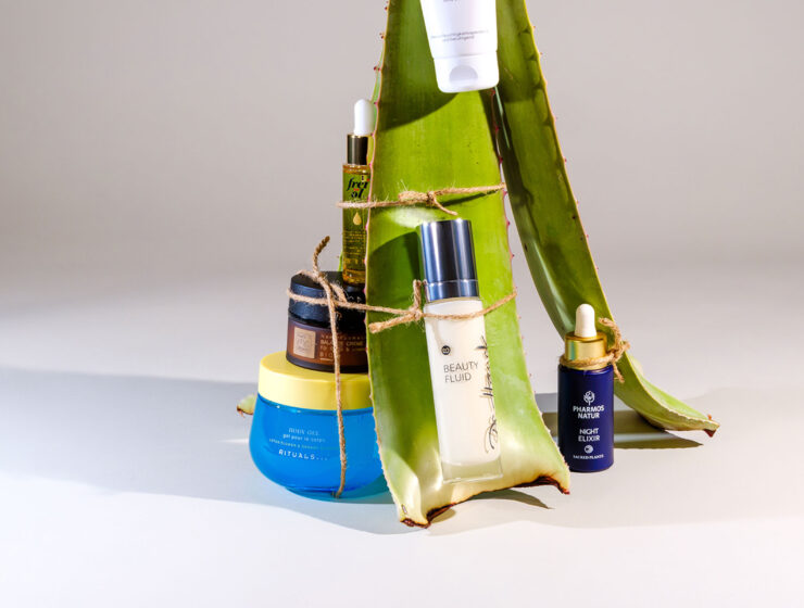 Aloe Vera versorgt feuchtigkeitsarme und gestresste Haut mit leichter Pflege.