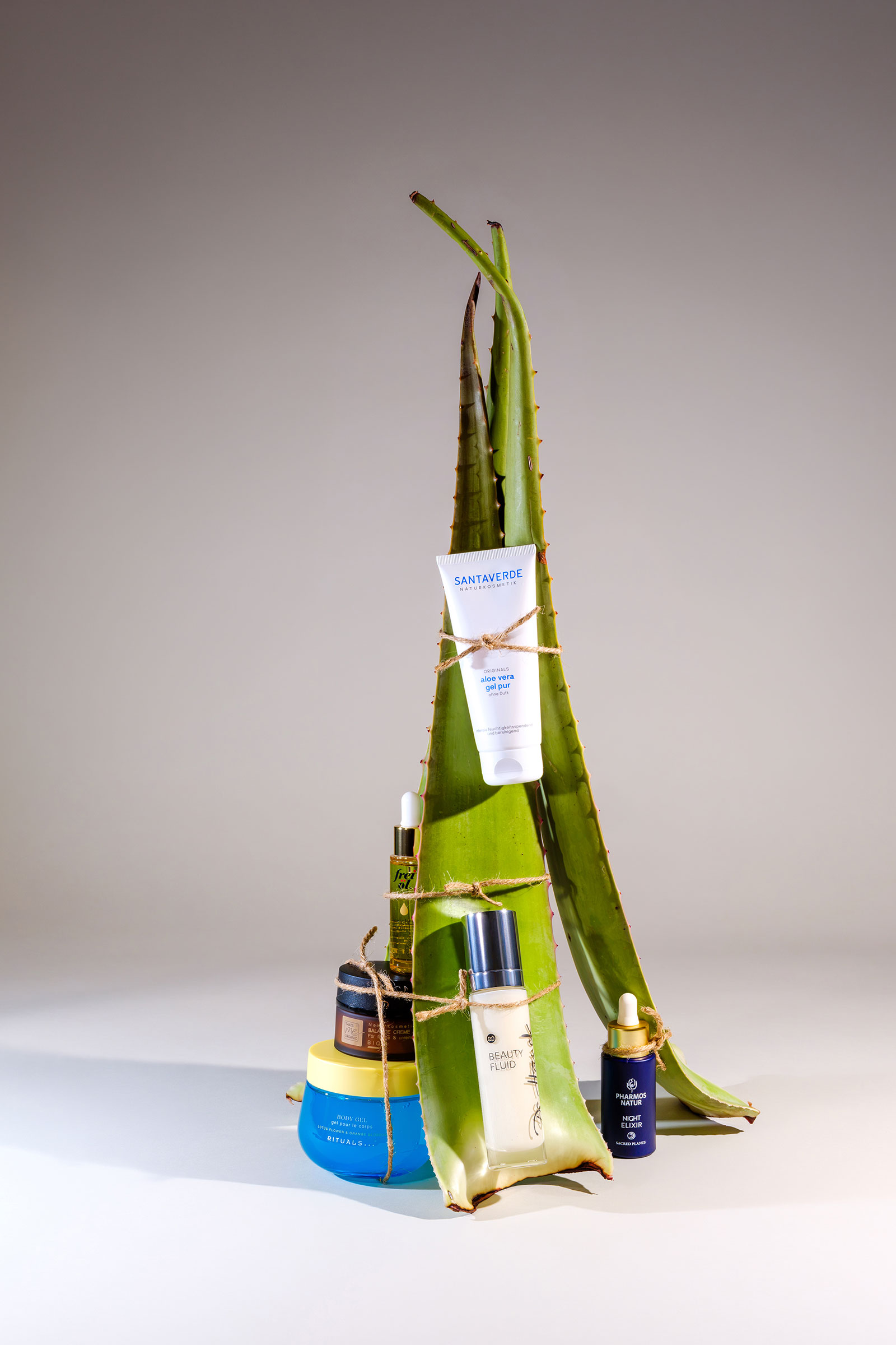 Beauty-Produkte mit Aloe Vera vor großen grünen Blättern